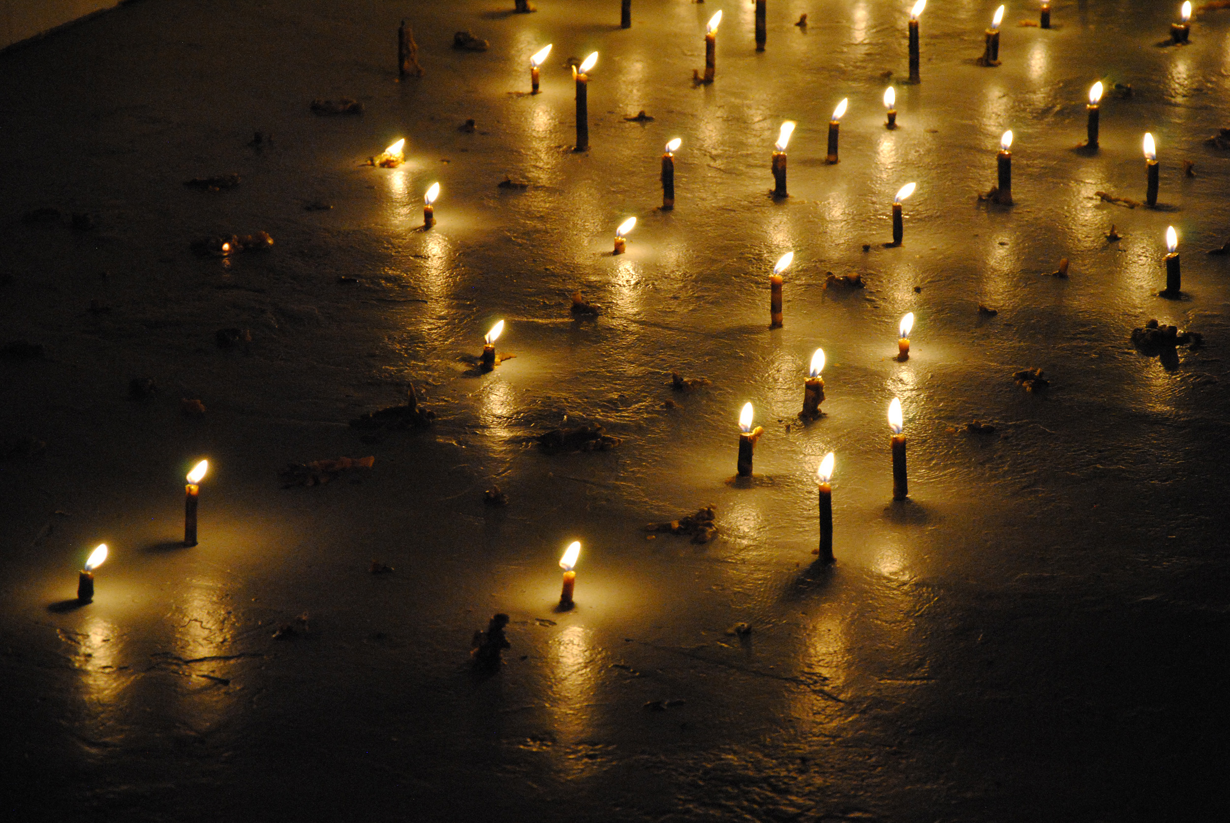 Théo Casciani, *LICHEN*, Sissi club Marseille - Creative direction (2020)